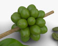 Green Coffee Beans 3d model