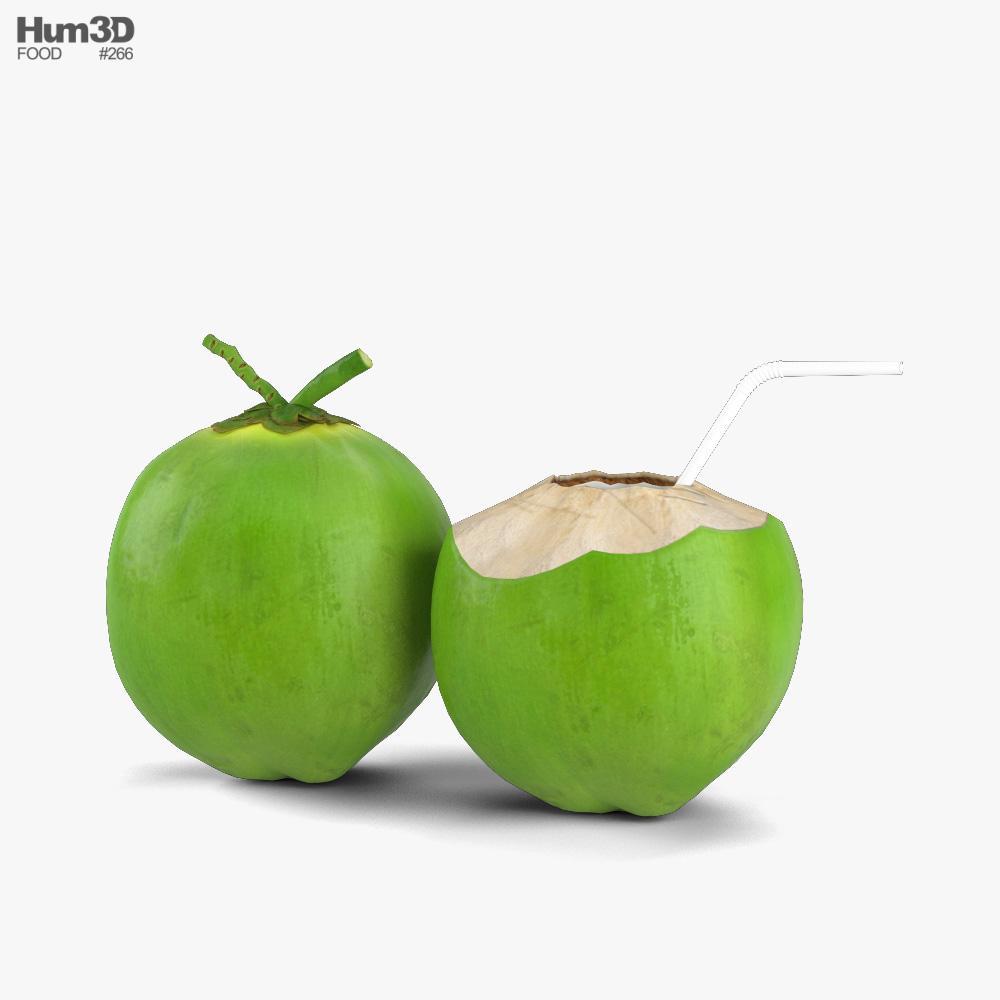 그린 코코넛 3D 모델 