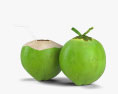 Зелений кокос 3D модель