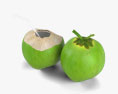 绿椰子 3D模型