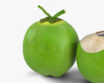 Зеленый кокос 3D модель