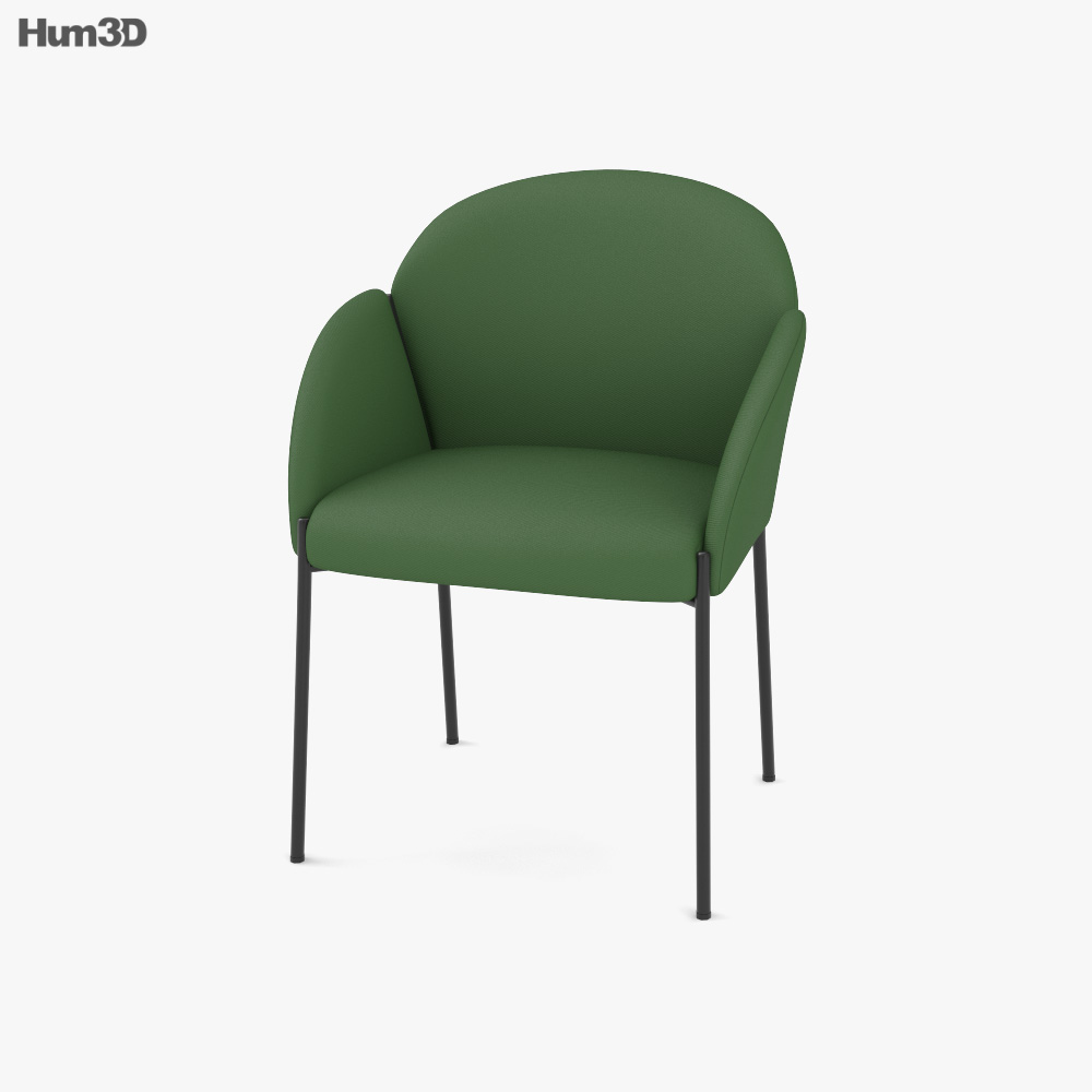 Artifort Andrea Lounge chair 3D model