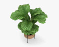 Umanoff Caixa de plantas Modelo 3d
