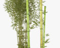 대나무 3D 모델 