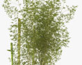Bambou Modèle 3d