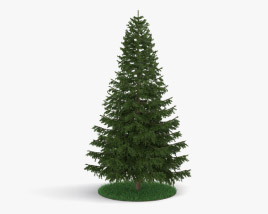 Pine tree 3D model