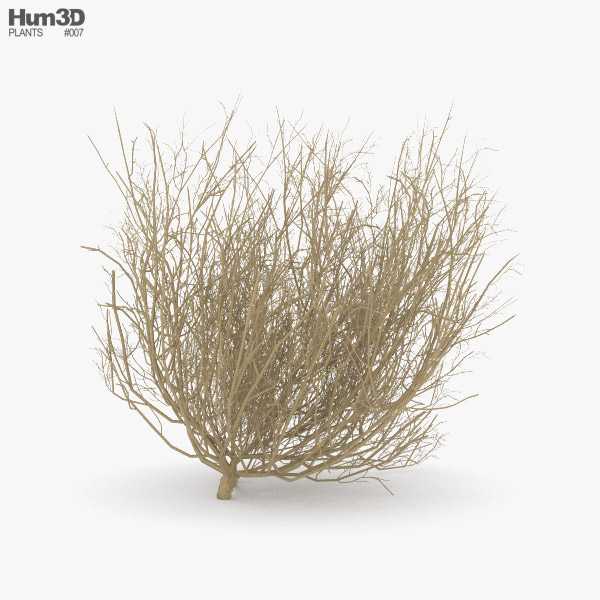 Tumbleweed 3D model
