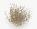 Tumbleweed 3D-Modell