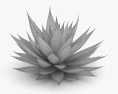 龍舌蘭屬 3D模型