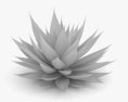 龍舌蘭屬 3D模型