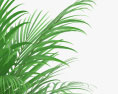 Palmeira areca Modelo 3d