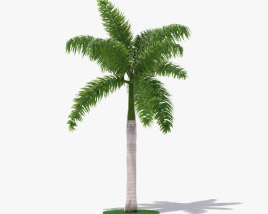 palm 3d model