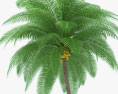 Кокосова пальма 3D модель