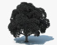 떡갈 나무 3D 모델 