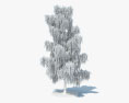 Árvore de vidoeiro Modelo 3d