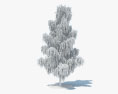 자작나무 3D 모델 