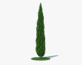 Cypress 3d model