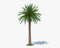 Фінікова пальма 3D модель
