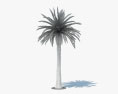 Финиковая пальма 3D модель