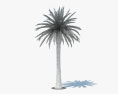 Финиковая пальма 3D модель