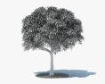 망고 나무 3D 모델 