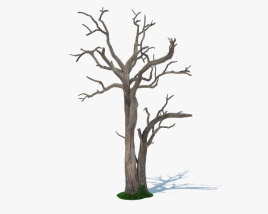 죽은 나무 3D 모델 