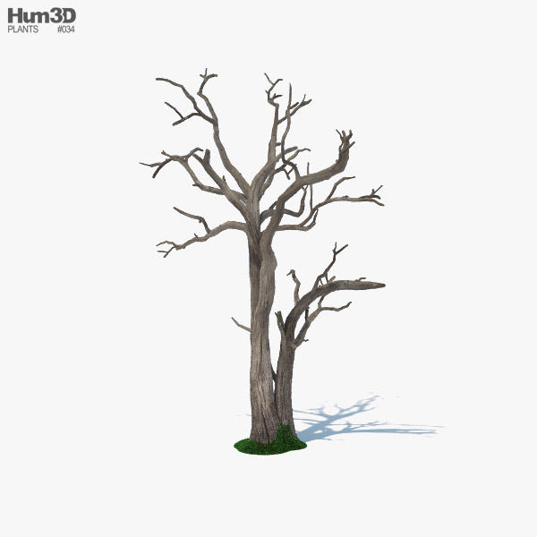 Árvore morta Modelo 3d