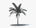 香蕉棕榈树 002 3D模型