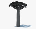Baobab Tree 3d model