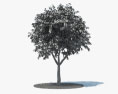 Árvore de cereja Modelo 3d