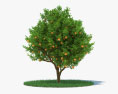 橘子树 3D模型