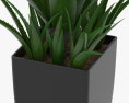 Agave In Decorative Pot 3d model