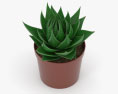 Aloe Modelo 3d