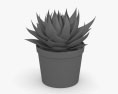 Aloe Modello 3D