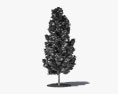 Тюльпанное дерево 3D модель