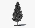 Тюльпанне дерево 3D модель