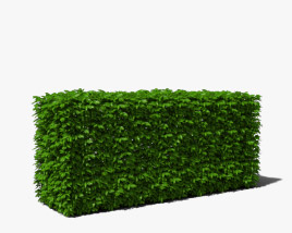 Hedge 3d model
