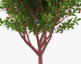 딸기 나무 3D 모델 