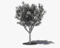 Земляничное дерево 3D модель