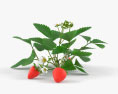 Plant de fraises Modèle 3d