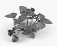 Полуниця рослина 3D модель