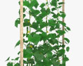 Огурец растение 3D модель