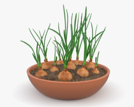 タマネギ植物 3Dモデル