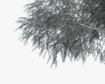 Железное дерево 3D модель