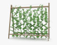 완두콩 식물 3D 모델 