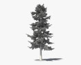 Árvore de cedro Modelo 3d