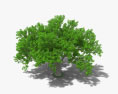 バニヤンツリー 3Dモデル