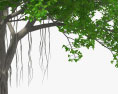Árvore de Banyan Modelo 3d