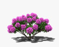 Rhododendron 3D-Modell