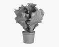 Salatpflanze 3D-Modell